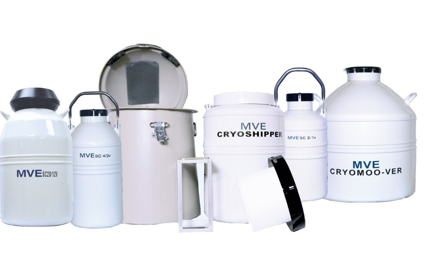 查特液氮罐 查特液氮罐